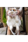 Ragdoll Cat Doll Backpack